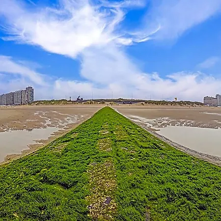 New-build Near The Center Middelkerke